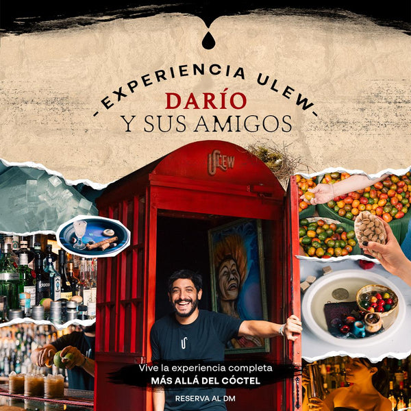 Experiencias Ulew - Dario y sus amigos